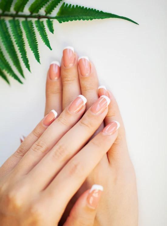 Pretty Bloom Nail Bar